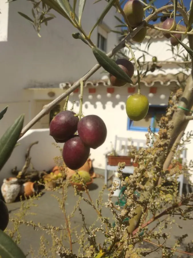 Bea'S Bed & Breakfast Tavira